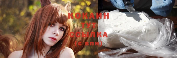 молекула духа Дмитриев