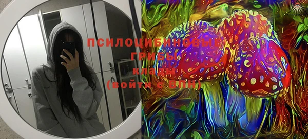 ГАЛЛЮЦИНОГЕННЫЕ ГРИБЫ Дмитровск