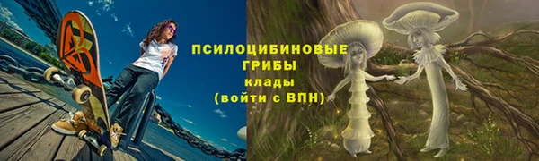 бутират Ельня