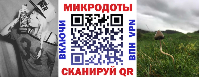 Купить  Уяр  Псилоцибиновые грибы GOLDEN TEACHER 